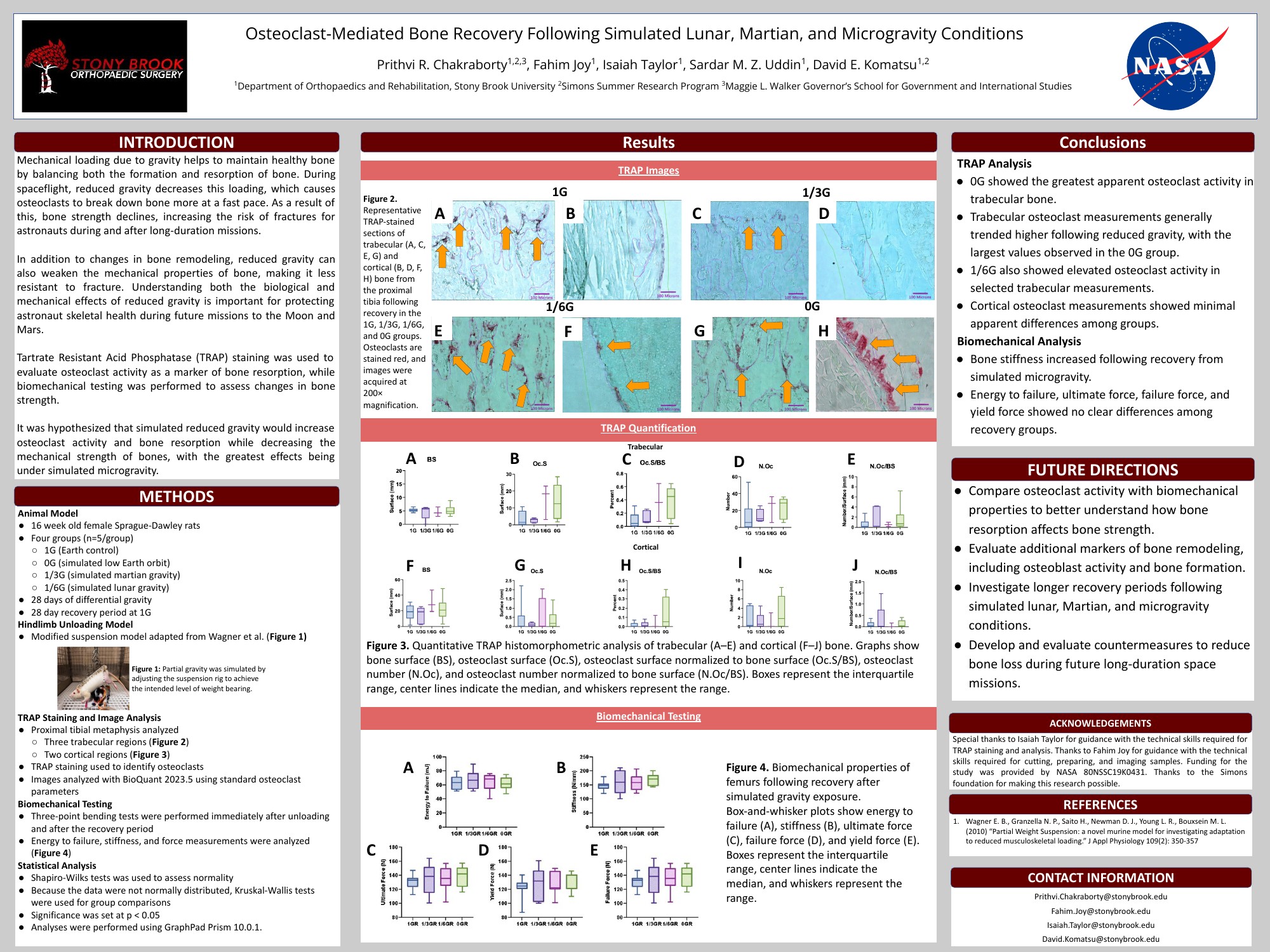Research poster preview