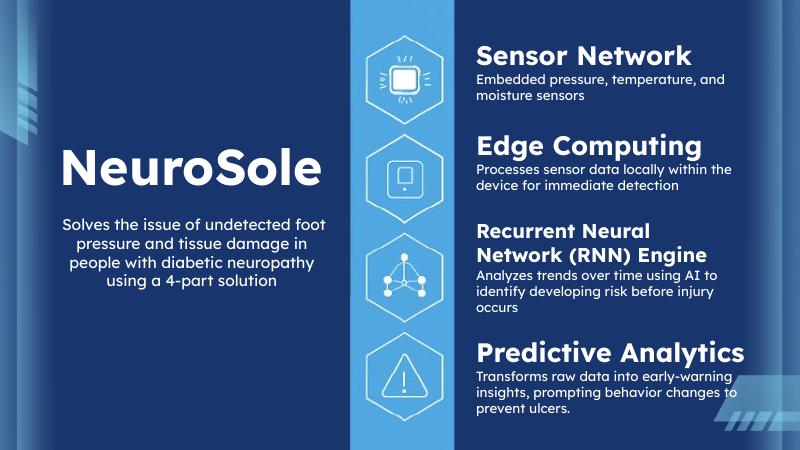 NeuroSole concept diagram showing its proposed sensing and analysis approach
